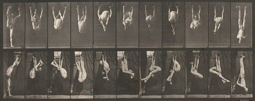 Plate Number 512. Contortions on the rings
