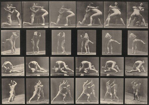 Plate Number 520. A-C: Wrestling. D: Sparring without gloves