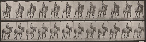 Plate Number 599. "Dusel" trotting, bareback