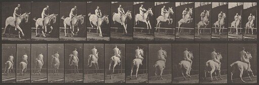 Plate Number 647. "Pandora" jumping a hurdle, bareback; rider nude