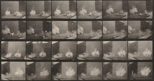 Plate Number 781. Chickens scared by a torpedo