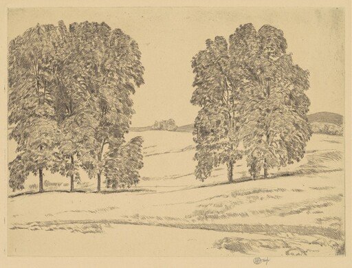 Hickories in a Hayfield