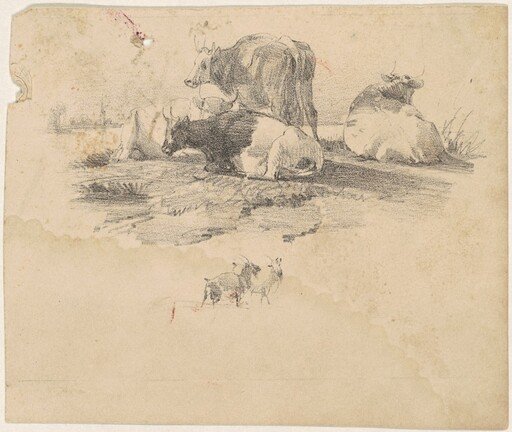 Herd of Cattle
