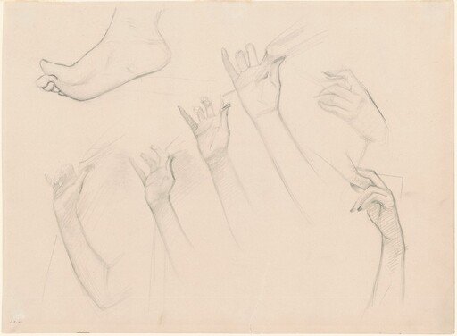Studies for "Fumee d'Ambre Gris"