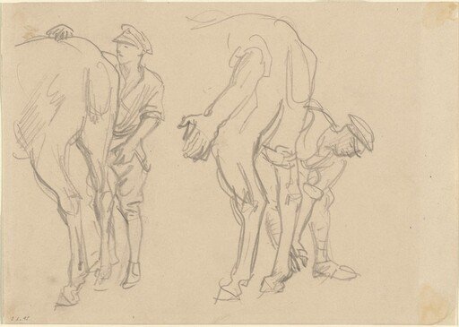Studies for "Scots Grey"