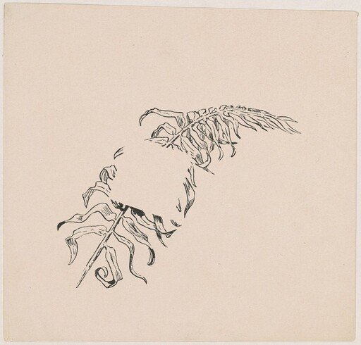Branch