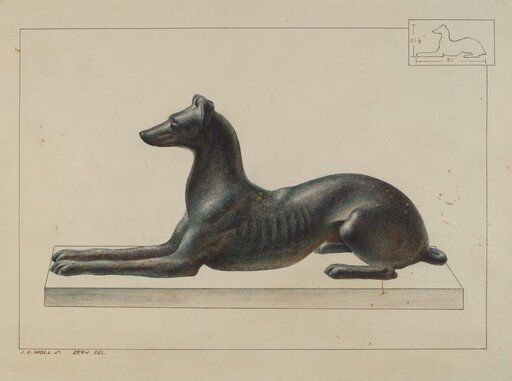Greyhound