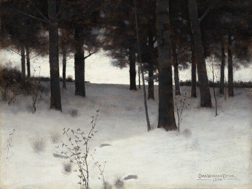 Woods in Winter