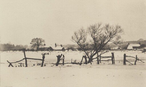 The Snowy Marshlands