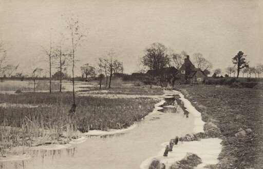 The Edge of the Broad