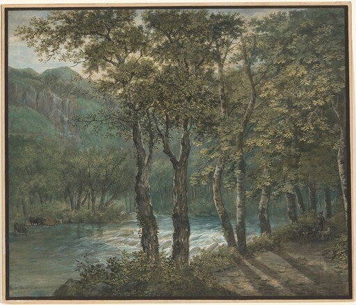 Sunlight Filtering through Trees along the River Sihl