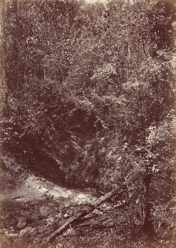 Gorge Near Chipigana