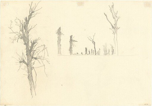 Devastated Trees [verso]