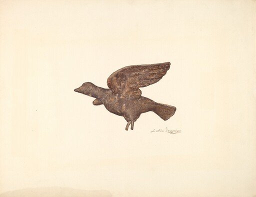 Dove