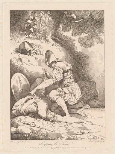 Stripping the Slain