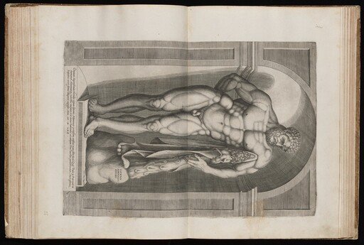 The Farnese Hercules