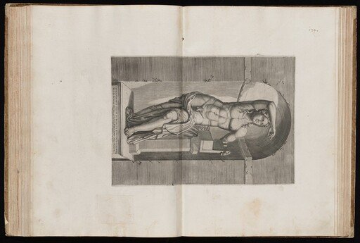 The Farnese Apollo, called 'Hermaphroditus'