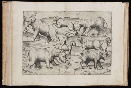 Animals from an Ancient Wall Painting [Table II]