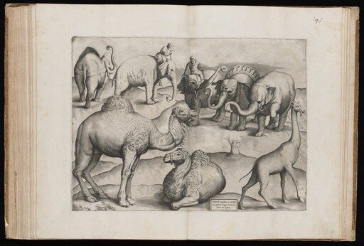 Animals from an Ancient Wall Painting [Plate III]