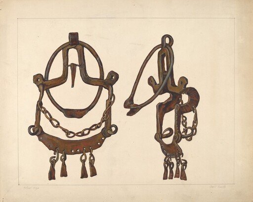 Bridle Bit