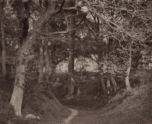 Glen Kenilworth
