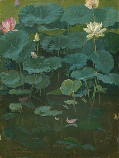 Buddha's Flowers: Lotus, Tokyo