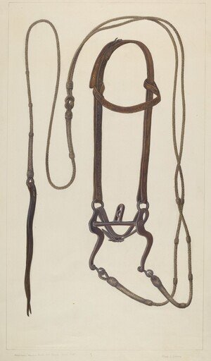 Bridle with Braided Rawhide Reins