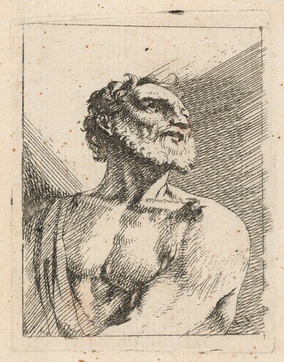 Bust of a Bearded Man