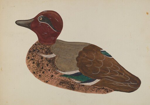 Decoy Duck