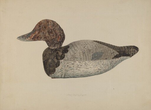 Decoy Duck #1