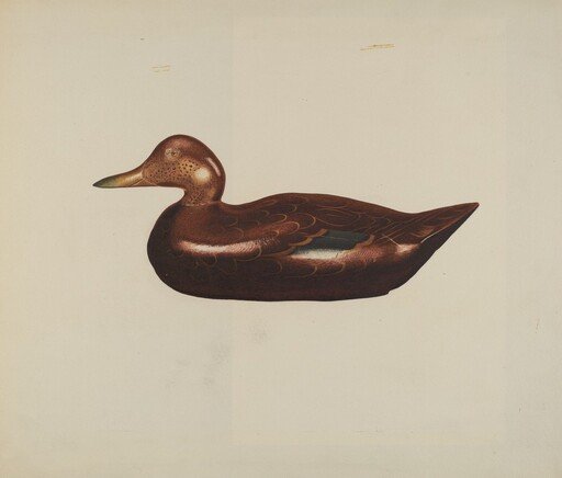 Wooden Duck