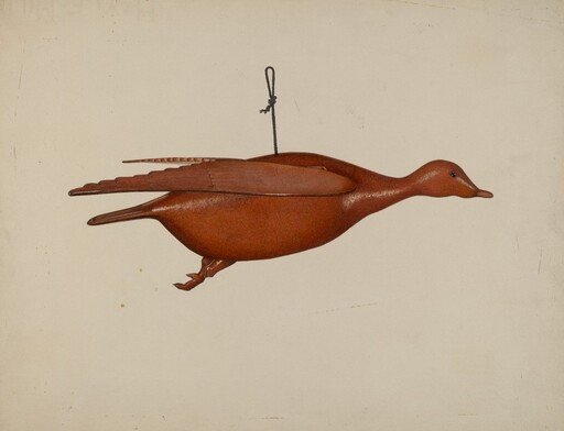 Flying Duck