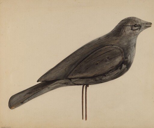 Decoy (Gull)
