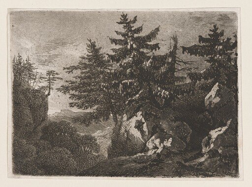 Pines on a Mountaintop at Night