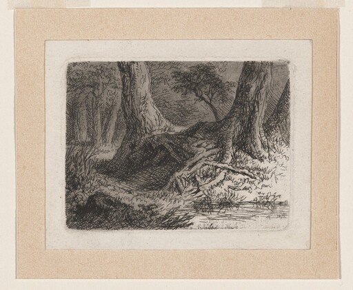 Trees with Tangled Roots