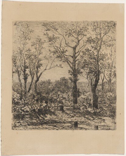 Bois de la charbonnière