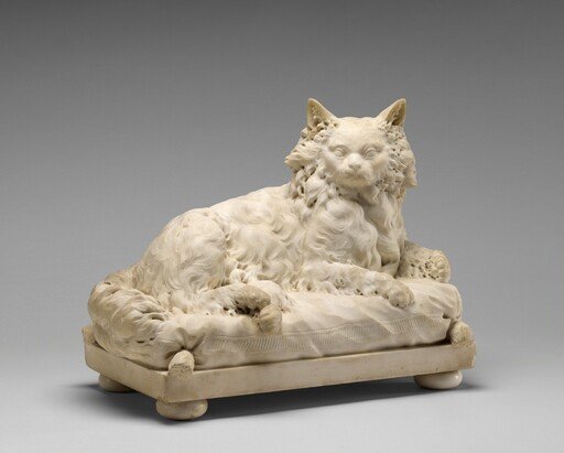 Cat on a Cushion