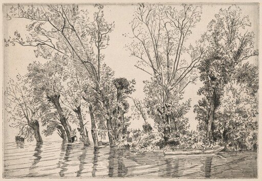 Willows of the Mottiaux Islands