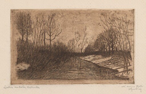 Winter Evening