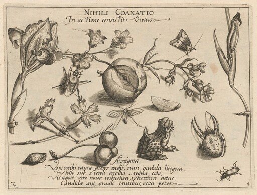 Archetypa studiaque patris Georgii Hoefnagelii [Part 4, Plate 3]