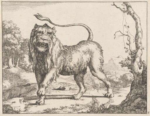 Lion