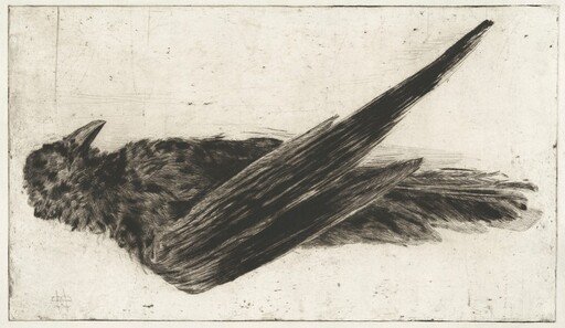 The Large Hanging Raven