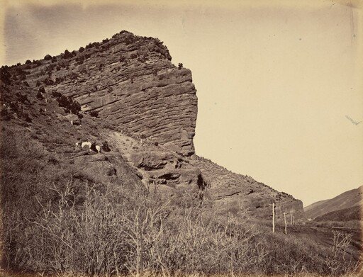 Plate 38. Rock Great Eastern