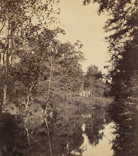 The Dell
