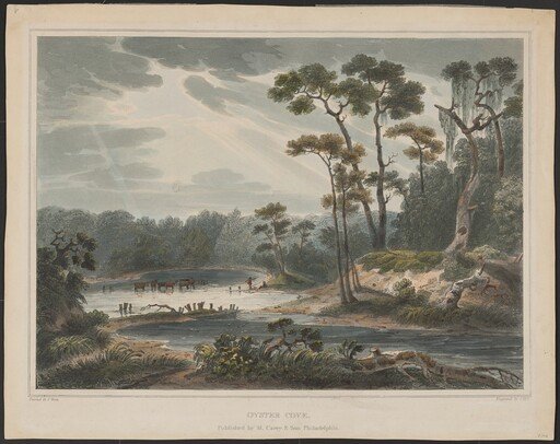 Oyster Cove