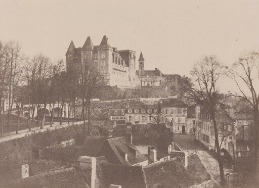 Château de Pau (Pau Castle)