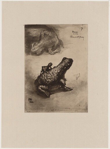 Bronze Toad (Crapaud Bronze)