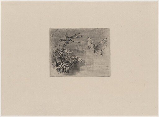 Ex-libris papillon et libellule