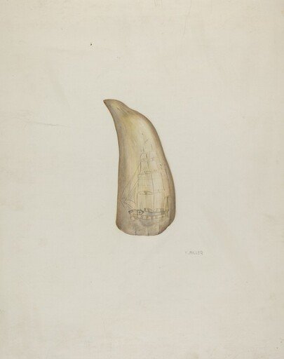 Scrimshaw