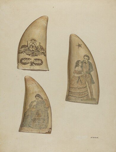 Scrimshaw